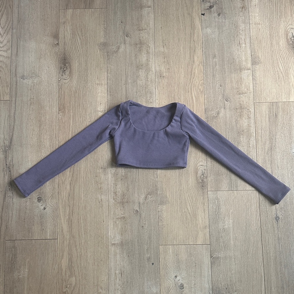 Tiger Friday Honest Long Sleeve Crop Top (ribbed) CL